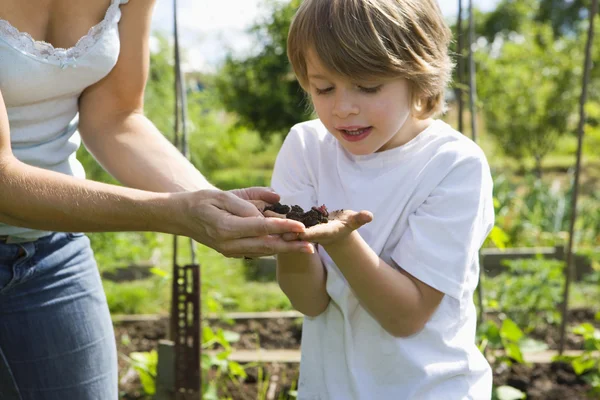 Boy  holding soil in hands — Stock Photo, Image