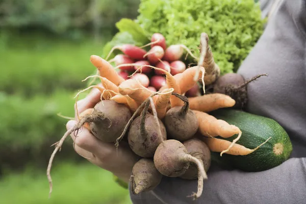 Woman holding vegetables — Stock Photo, Image