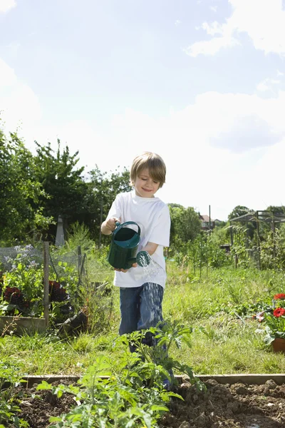 Chlapec zalévání rostlin v zahradě — Stock fotografie