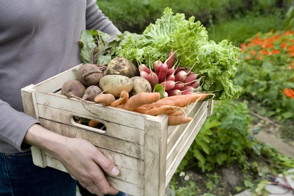 Femme portant une caisse de légumes — Photo