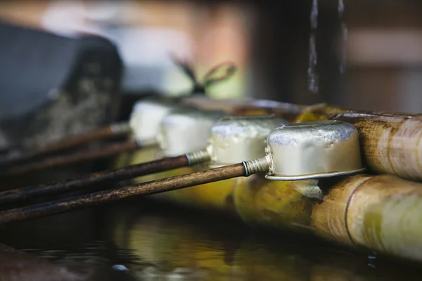 Conchas em Templo de Kofuku-ji — Fotografia de Stock