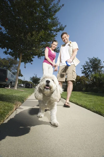 Paar lopen hond langs de stoep — Stockfoto