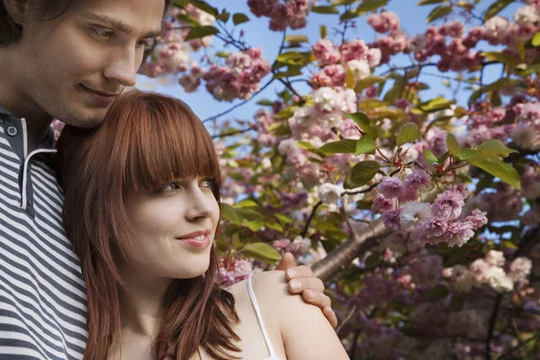 Pareja bajo un árbol floreciente — Foto de Stock