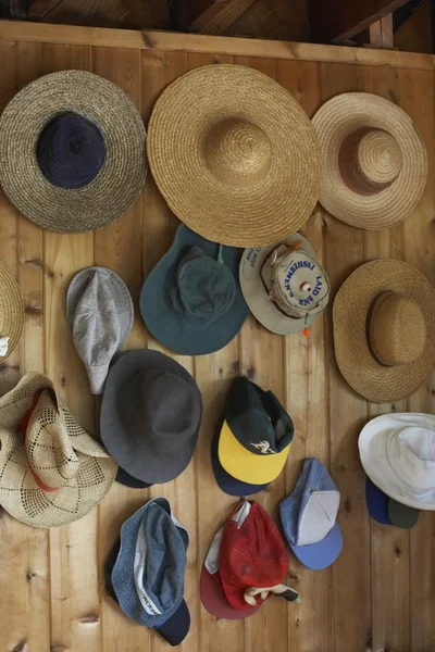 Chapéus de palha conjunto — Fotografia de Stock