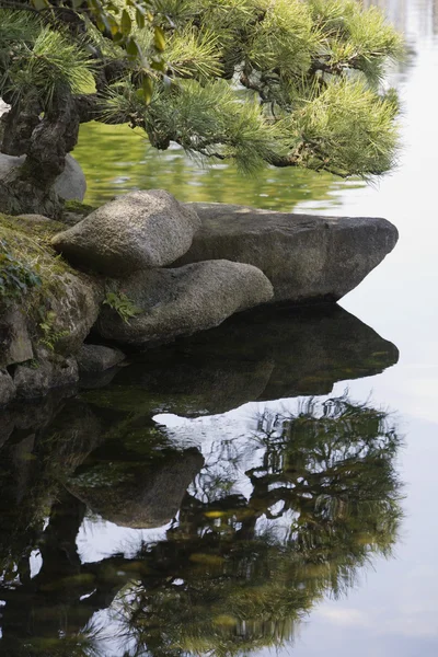 Korakuen Bahçe gölet — Stok fotoğraf