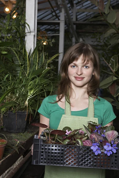 Mujer con bandeja de plantas en maceta —  Fotos de Stock