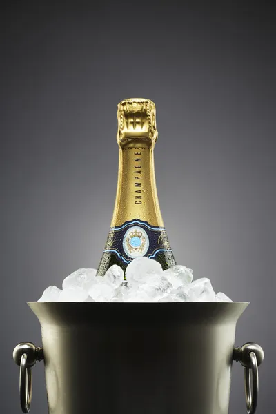 Champagne fles in ijs emmer — Stockfoto