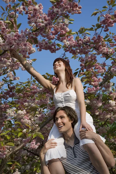 Мужчина поднимает женщину на ветку дерева — стоковое фото
