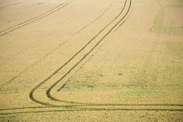 Campo con marcas — Foto de Stock