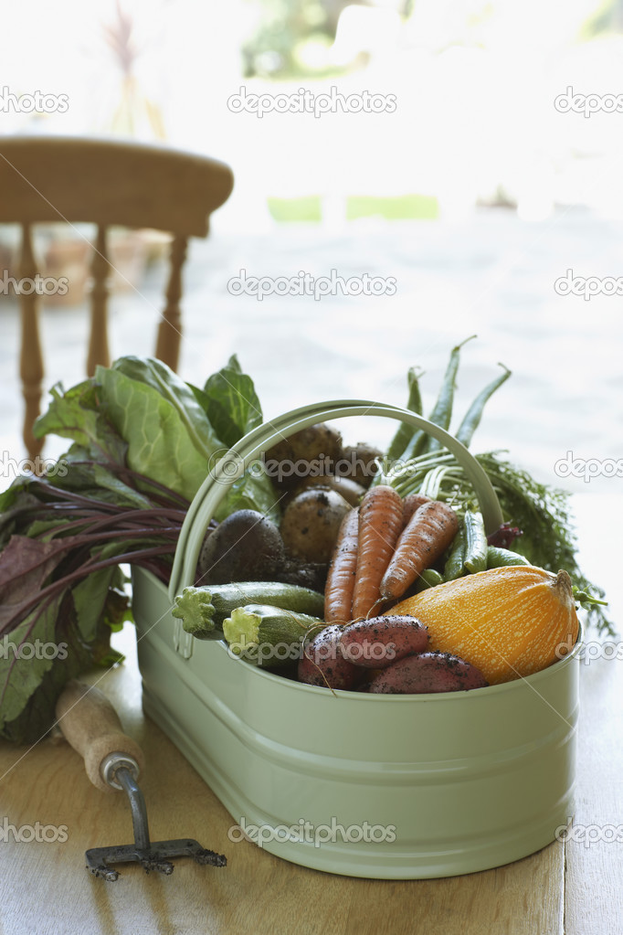 Fresh homegrown vegetables 