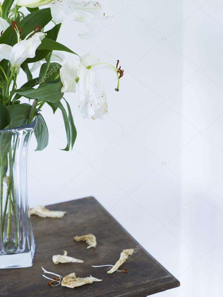 White lilies in vase on table
