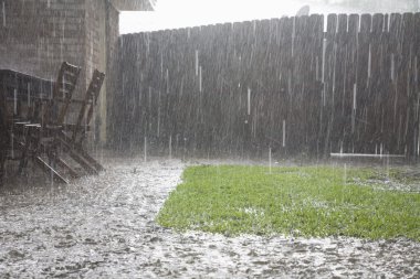 Heavy rain at backyard clipart