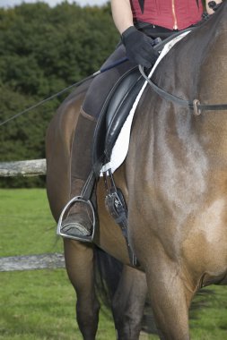 Üzerinde kahverengi atın üzerinde oturanbir horseback binici