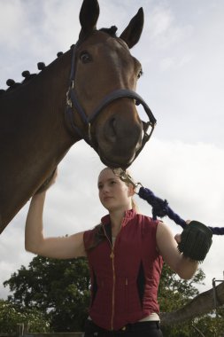  horseback binici damat at