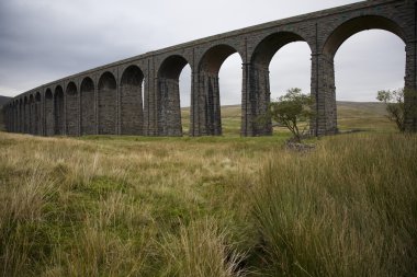 Ribblehead Viaduct clipart