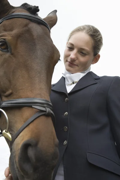 Horseback rider with horse — Stock Photo, Image