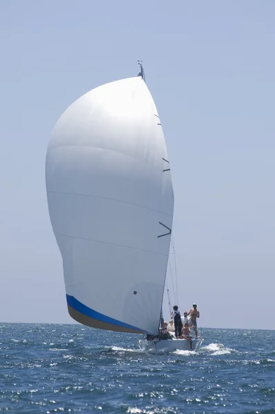 Sailboat on competition — Stock Photo, Image