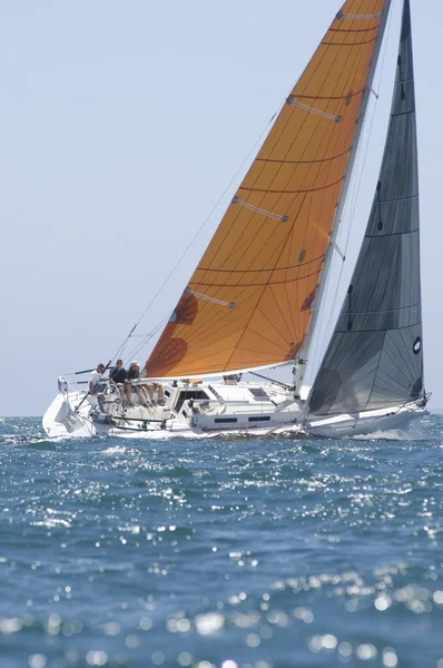 Barca a vela in competizione — Foto Stock