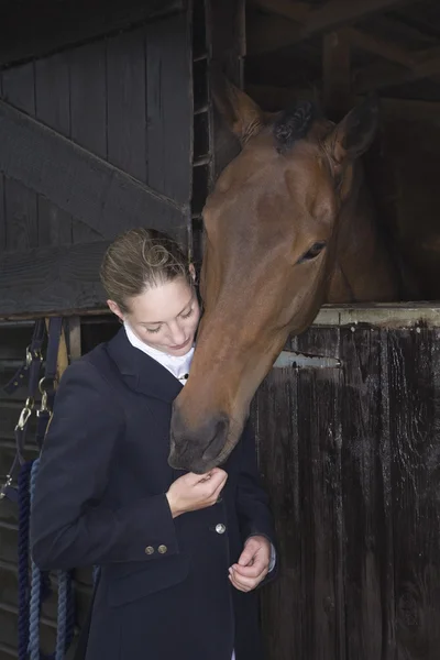 Ruiter met paard — Stockfoto