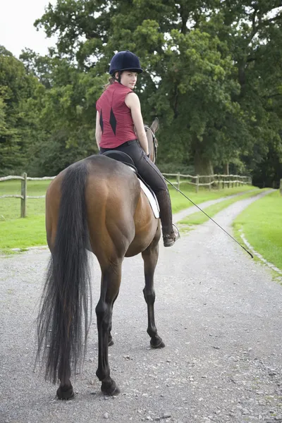 Üzerinde kahverengi atın üzerinde oturanbir horseback binici — Stok fotoğraf