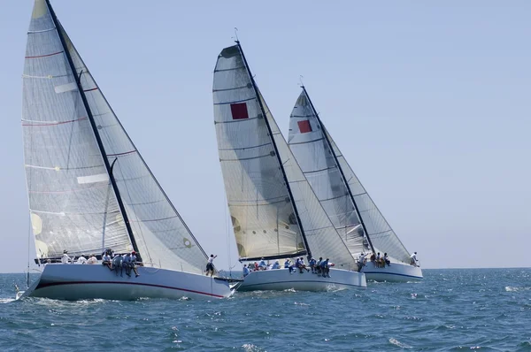 Yachts on sailing event — Stock Photo, Image