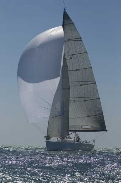 Segelboot im Wettbewerb — Stockfoto