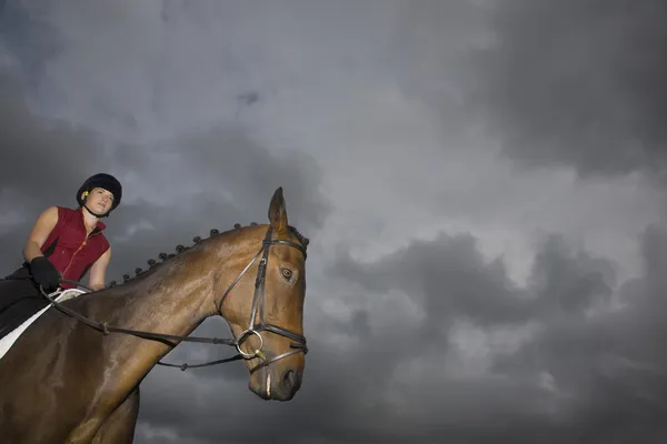 Ruiter zittend op bruin paard — Stockfoto