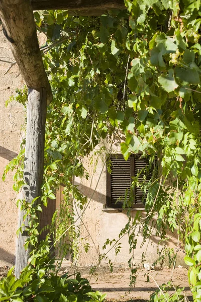 Gebäude außen — Stockfoto