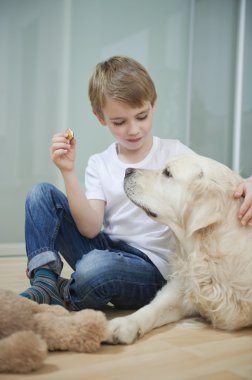 köpekle oturan çocuk 