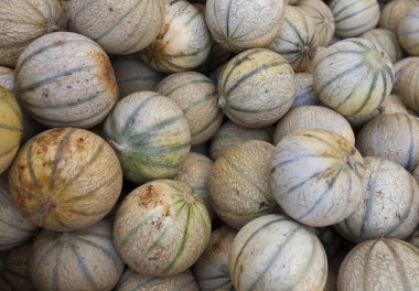 kavun pazarı içinde