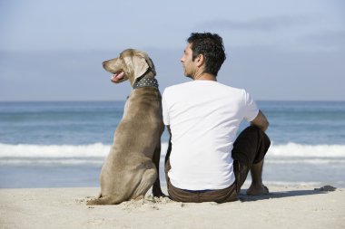İnsan ve köpek oturma plaj