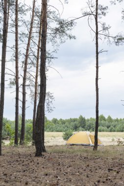 bulutlu gökyüzü karşı orman çadırda