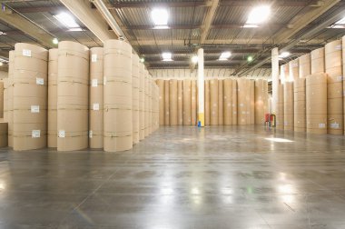 Gazete fabrika rulo