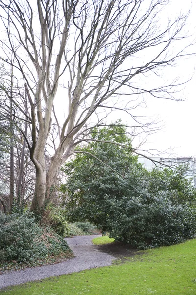 Path leading through gardens — Stock Photo, Image