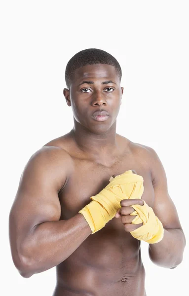 Young boxer — Stock Photo, Image