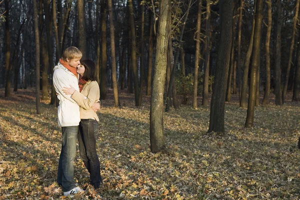 Par embracing i skogen — Stockfoto