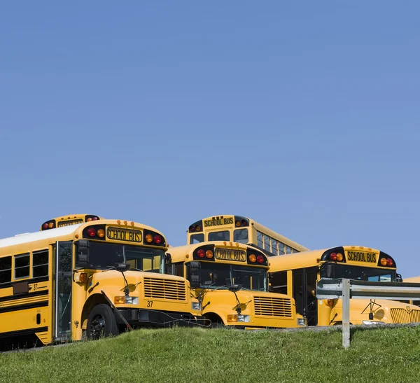 Schulbusse — Stockfoto