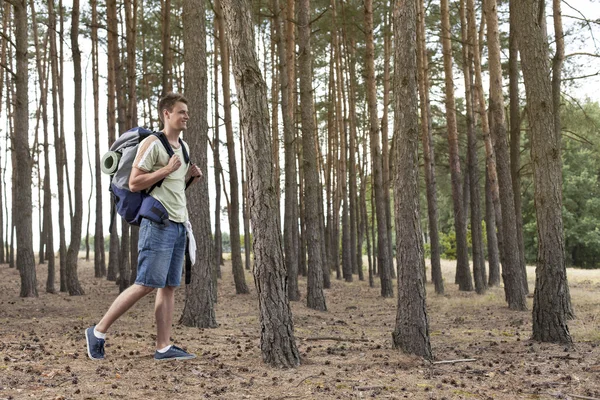 Homem caminhando na floresta — Fotografia de Stock