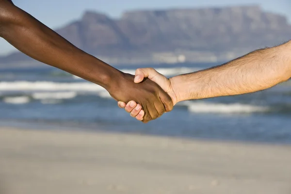 Multi-racial handshake — Stock Photo, Image