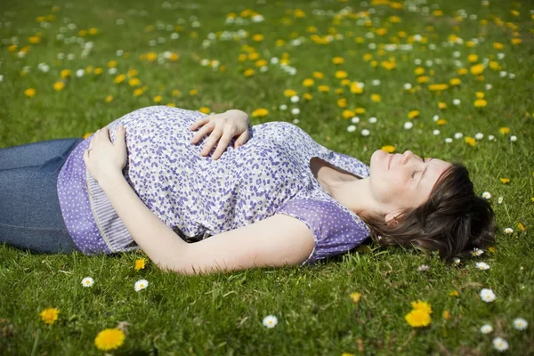 妊娠中の女性は草の上に横たわる — ストック写真