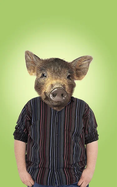 Übergewicht mit Schweinekopf — Stockfoto