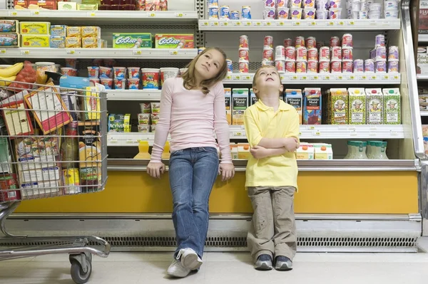 Hermano y hermana se sientan en el refrigerador — Foto de Stock