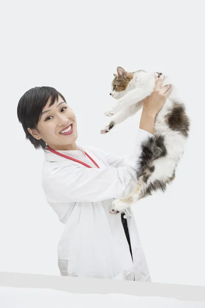 Female veterinarian holding up cat — Stock Photo, Image