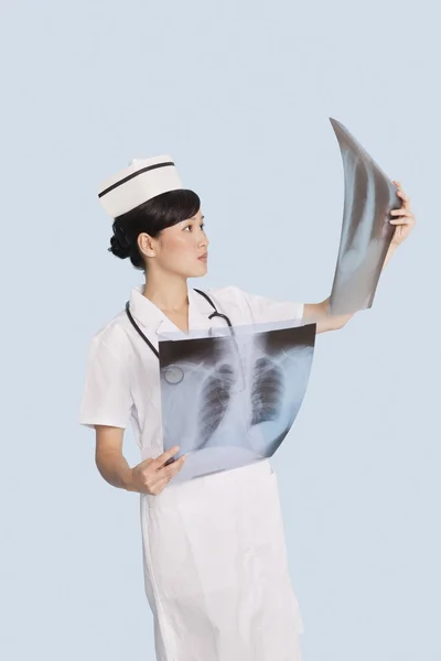 Doctor analyzing x-ray reports — Stock Photo, Image