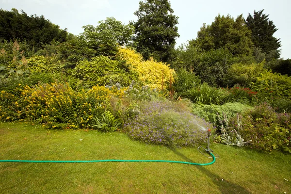 Hose in garden — Stockfoto