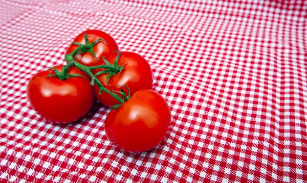 Red Vine tomatoes — Stock Photo, Image