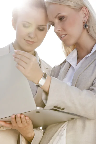 Mulheres de negócios usando laptop — Fotografia de Stock