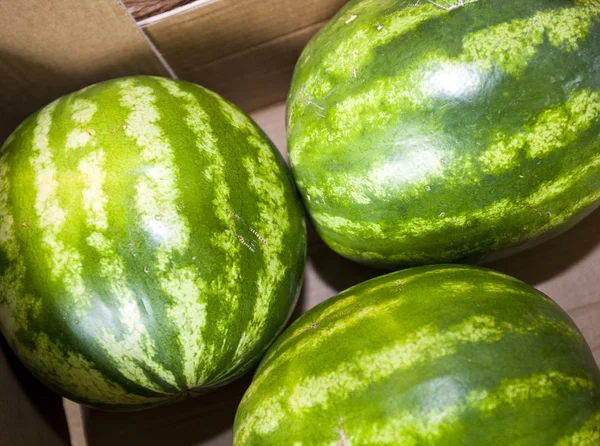Watermelons — Stock Photo, Image