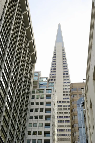 San Francisco에 Transamerica 피라미드 — 스톡 사진