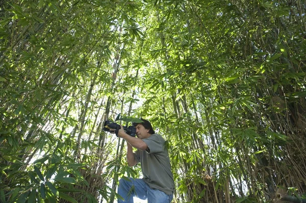 Photographer adjusts camera lens in bamboo forest — Stock Photo, Image